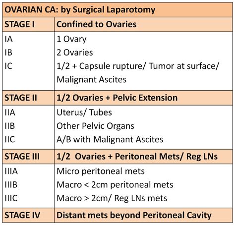 borderline tumor ovar figo